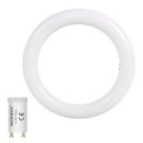Noxion Tube LED T9 Avant Circulaire (EM/Direct 230V) 12W 1100lm - 830 Blanc Chaud | Équivalent 22W
