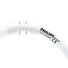 Philips MASTER TL5C Circulaire 22W - 830 Blanc Chaud | 22cm