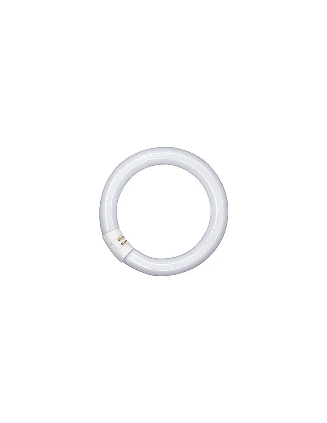 Tube Led Circulaire T9 32W 40cm | leonleds.com