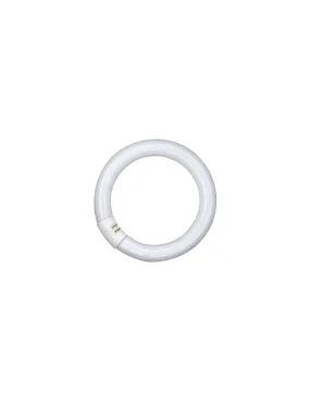 Tube Led Circulaire T9 32W 40cm | leonleds.com
